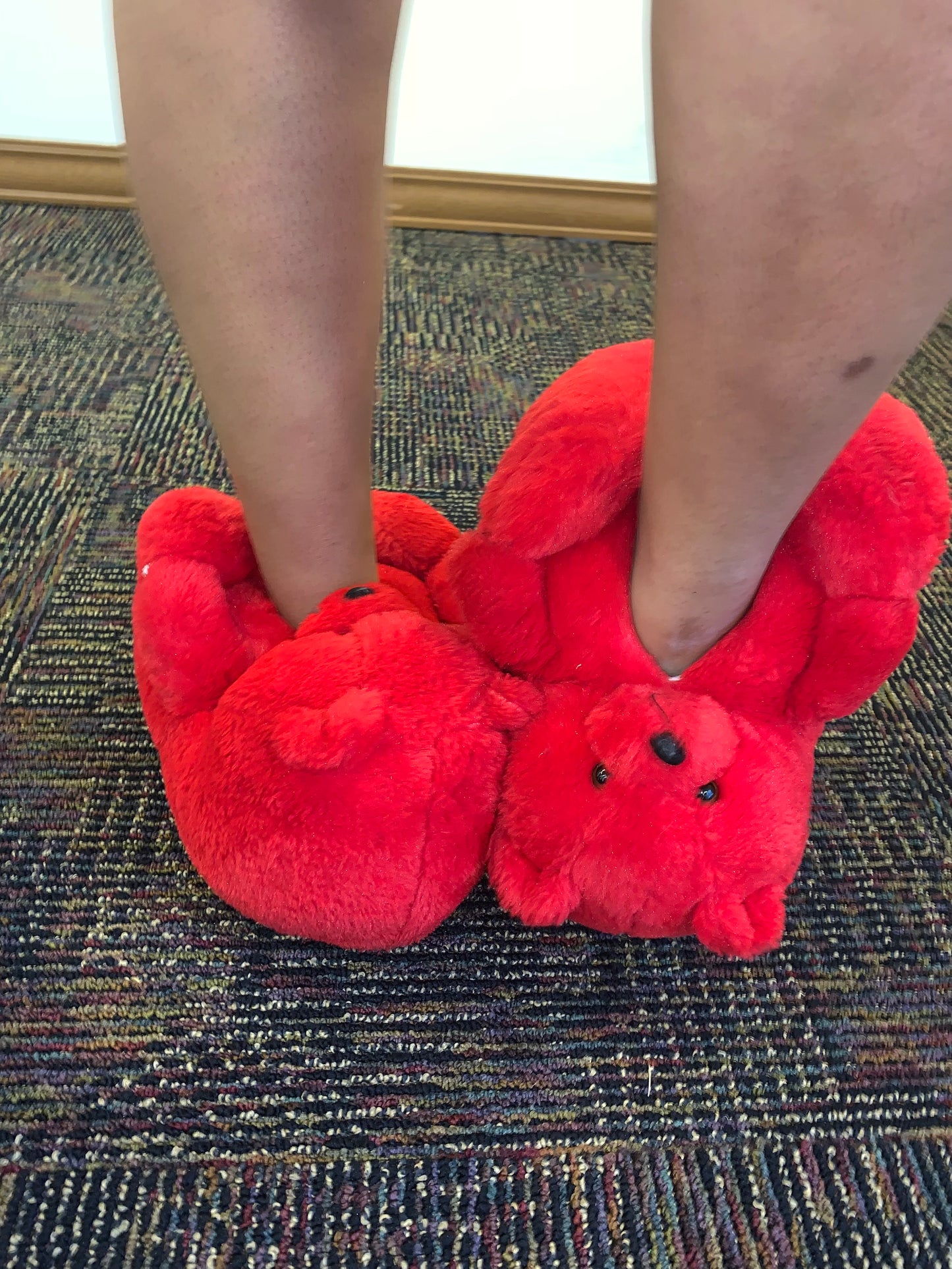 Adult Teddy Bear Slippers
