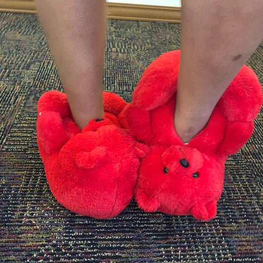 Adult Teddy Bear Slippers